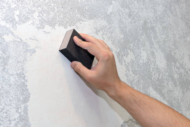 Best Dehumidification Services  in , OK