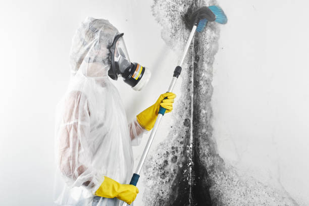 Best Asbestos and Lead Testing During Mold Inspection  in , OK
