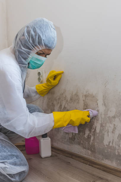 Best Mold-Related Health Consultation  in , OK