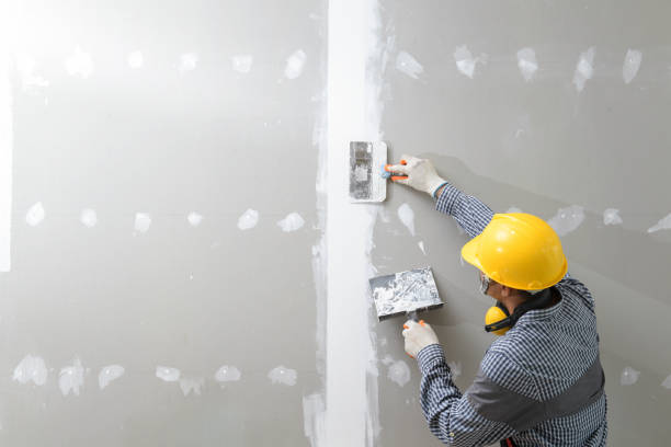 Best Mold Documentation for Insurance Claims  in , OK