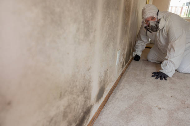 Best Air Quality Testing for Mold Spores  in , OK