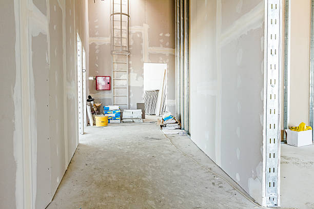 Best Biohazard Mold Removal  in , OK